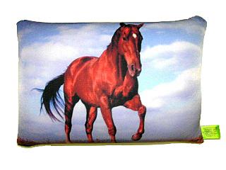 640 X 480 38.5 Kb 640 X 480 27.9 Kb    