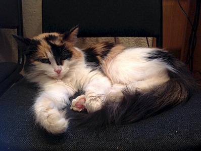 1920 X 1434 454.6 Kb    