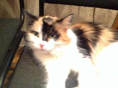 1920 X 1434 471.2 Kb 1920 X 1434 454.6 Kb    