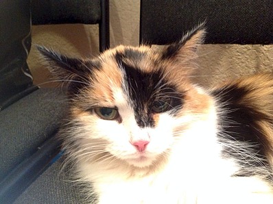 1920 X 1434 596.0 Kb 1920 X 1434 471.2 Kb 1920 X 1434 454.6 Kb    