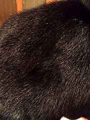 453 X 604  86.5 Kb 453 X 604  62.0 Kb 453 X 604  42.8 Kb      .46,    