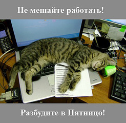 450 X 439 168.5 Kb   )