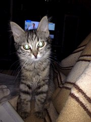 453 X 604 40.4 Kb -   !