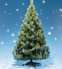 217 x 240 ������������� ����!