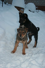 1000 X 1500 529.2 Kb 1000 X 1500 503.2 Kb   -  