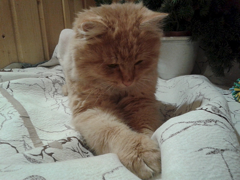 1920 X 1440 500.6 Kb 1920 X 1440 459.2 Kb         !