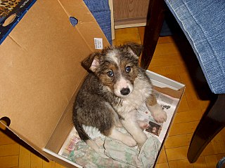 1280 X 960 266.4 Kb    !