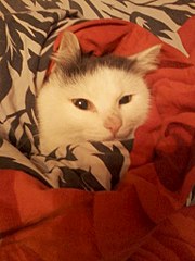 768 X 1024 125.2 Kb �������� - ������� � ������� ���� ���!