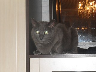 1280 X 960 160.0 Kb         !