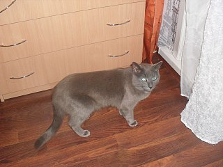 1280 X 960 204.0 Kb         !