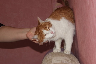 1920 X 1280 406.0 Kb     !