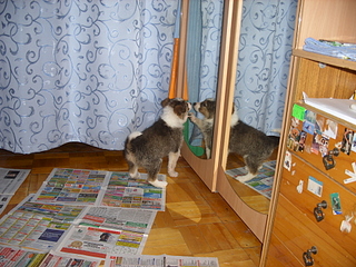 1920 X 1440 263.3 Kb    !