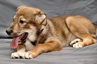 1280 X 852 216.6 Kb    !