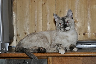 500 X 332 47.8 Kb    .