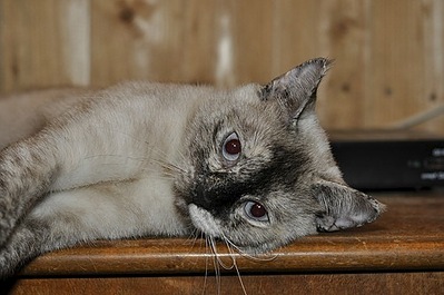 500 X 332 47.5 Kb 500 X 332 37.2 Kb 500 X 332 47.8 Kb    .