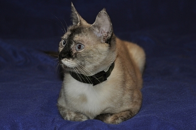 640 X 425 143.9 Kb 500 X 332 47.5 Kb 500 X 332 37.2 Kb 500 X 332 47.8 Kb    .