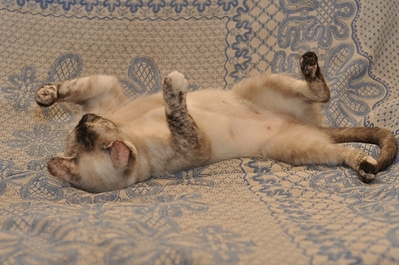 640 X 425 206.5 Kb    .