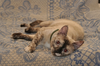 640 X 425 196.7 Kb 640 X 425 206.5 Kb    .