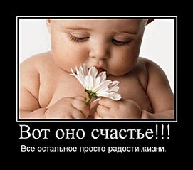 543 X 480 36.2 Kb Крутой КУРЯТНИК