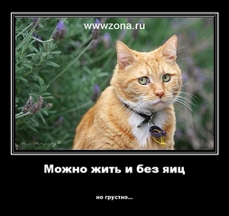 700 X 660 296.7 Kb .  .