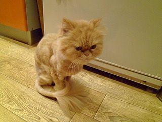 1920 X 1440 553.5 Kb ���������� ����� � ������ ����!