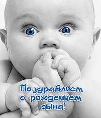 342 X 400 51.8 Kb Крутой КУРЯТНИК