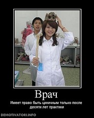 510 X 636 48.3 Kb Внимание! На этой неделе студенты ИГМА будут приносить кошек с улицы на опыты