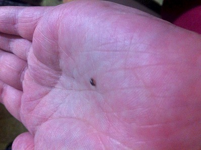 1920 X 1434 897.3 Kb   