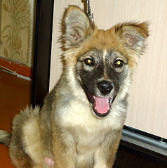 796 X 800 231.5 Kb  -    ,   .