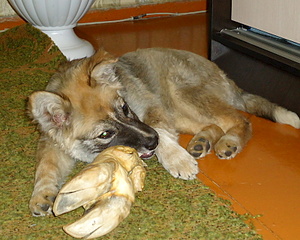 800 X 639 221.8 Kb  -    ,   .