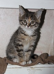 1920 X 2603 810.4 Kb -