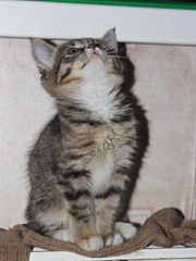 1920 X 2556 702.5 Kb 1920 X 2603 810.4 Kb -