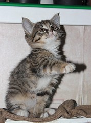 1920 X 2581 689.7 Kb 1920 X 2556 702.5 Kb 1920 X 2603 810.4 Kb -