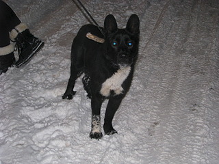 1920 X 1440 622.1 Kb   (6-7 .)       