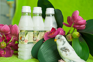 1920 X 1277 810.4 Kb кокосовое масло