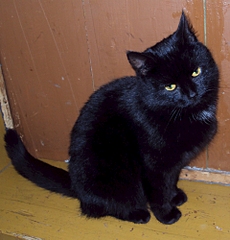 1920 X 1993 141.3 Kb   5 . -    