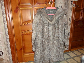 800 X 600 184.9 Kb    / 10000