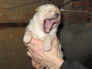 1920 X 1440 685.8 Kb 1920 X 1440 678.5 Kb 1920 X 1440 712.5 Kb 1920 X 1440 717.6 Kb 1920 X 1440 699.9 Kb      