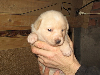 1920 X 1440 679.9 Kb      