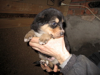 1920 X 1440 712.4 Kb 1920 X 1440 679.9 Kb      