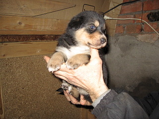 1920 X 1440 773.5 Kb 1920 X 1440 712.4 Kb 1920 X 1440 679.9 Kb      