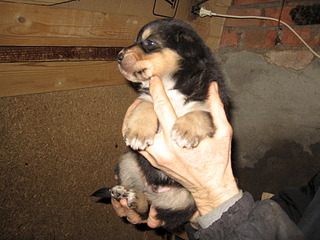 1920 X 1440 766.5 Kb 1920 X 1440 773.5 Kb 1920 X 1440 712.4 Kb 1920 X 1440 679.9 Kb      