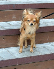 318 X 406 118.6 Kb  . !