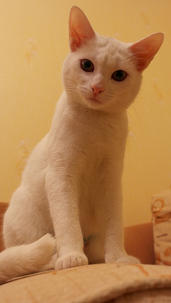 1920 X 3411 186.6 Kb   -  