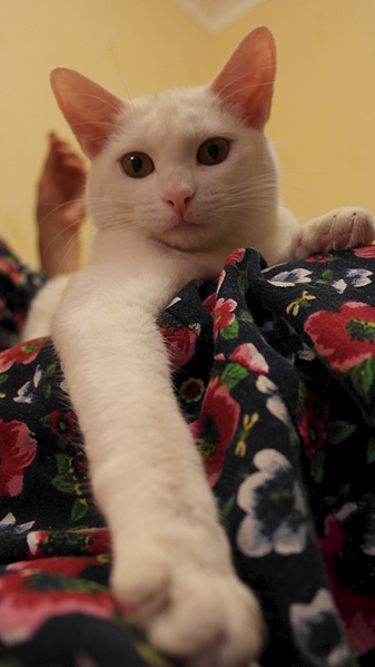 1920 X 3411 215.6 Kb   -  