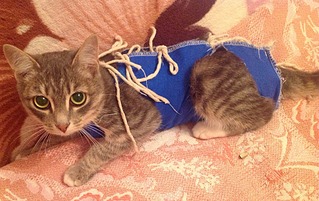 1920 X 1208 768.0 Kb    