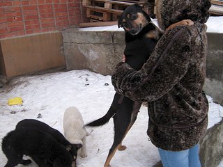 604 X 453 57.8 Kb 604 X 453 55.5 Kb   ()   !