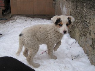 604 X 453 51.1 Kb 604 X 453 59.1 Kb   ()   !