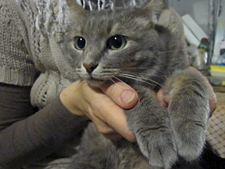 640 X 480 97.3 Kb 640 X 480 166.3 Kb 640 X 480 107.5 Kb 640 X 480 104.7 Kb       