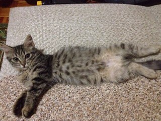 960 X 720 223.5 Kb -   !